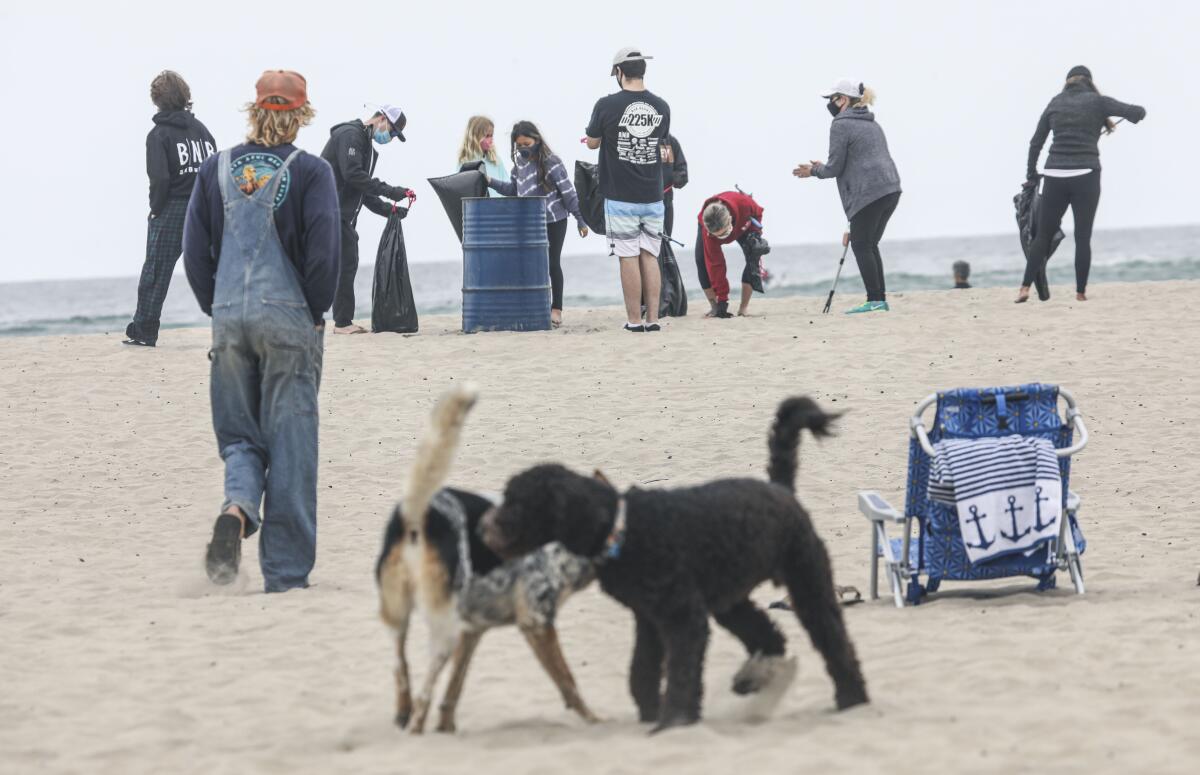 Volunteers work along the Ocean Beach shore during the I Love a Clean San Diego trash pick-up in April. 