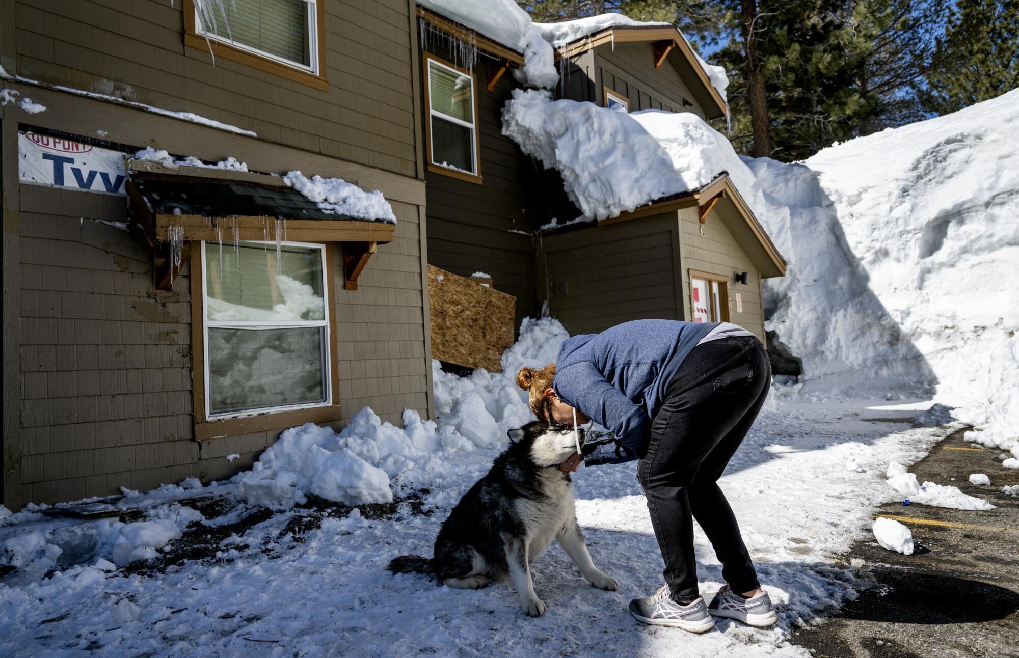 A woman comforts her dog in Mammoth Lakes. 