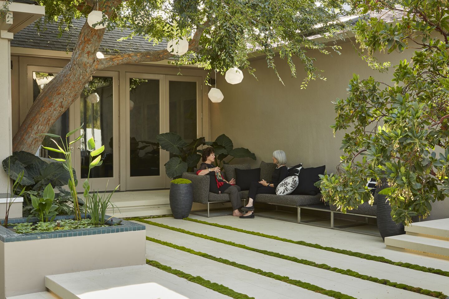 A conversation area sits in dappled sunlight under an old Chinese elm tree. Ground cover gaps in the paving allow air and water to reach the tree's roots.