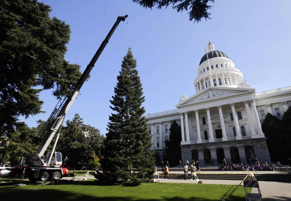 For some legislators in Sacramento, Christmas comes early in the form of trips and other freebies.