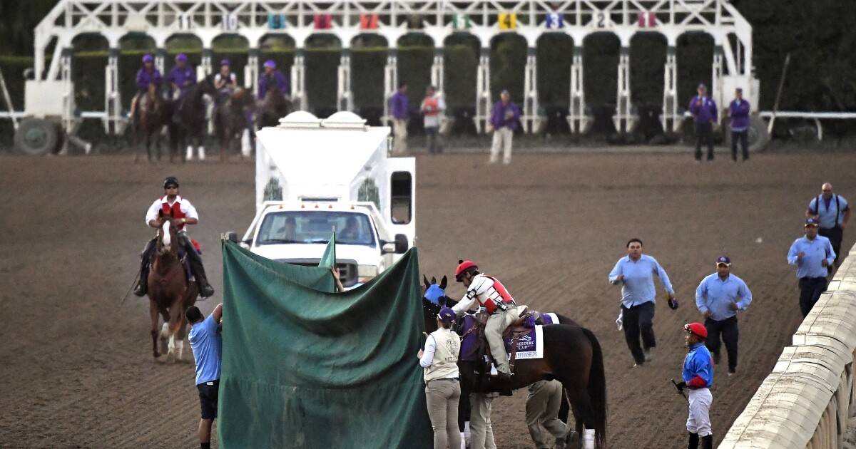 Column NBC teetered along precarious path in Breeders' Cup coverage