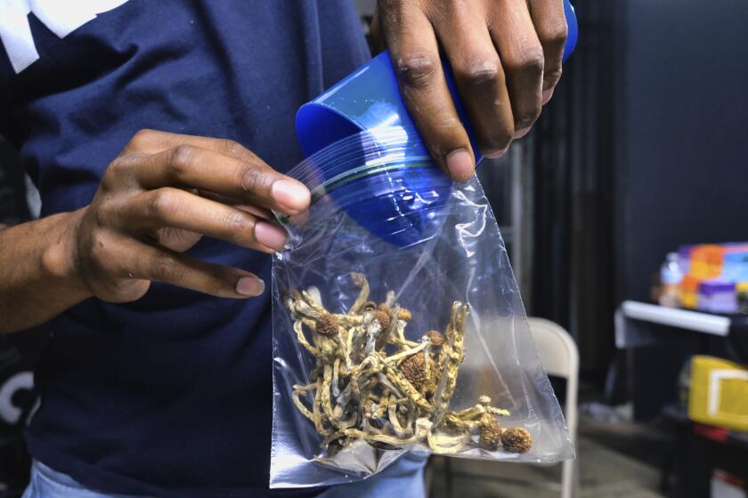 FILE - A vendor bags psilocybin mushrooms at a cannabis marketplace on May 24, 2019 in Los Angeles. Lawmakers throughout the United States are weighing proposals to legalize psychedelic mushrooms for people. They say alarming suicide rates and a shortage of traditional mental health practitioners has led them to consider research into alternative treatments for depression and anxiety, including so-called magic mushrooms. (AP Photo/Richard Vogel, File)