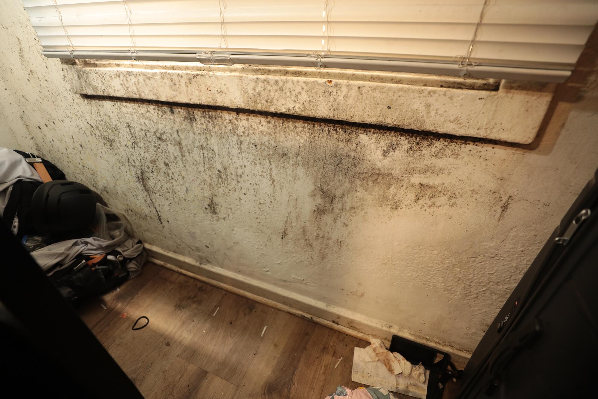 Mold on a wall under a window