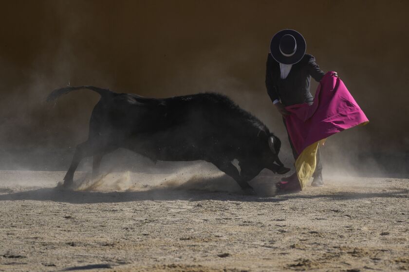Bullfighter Sebastian Vargas performs a pass at the Hacienda Vista Hermosa bullring in Villa Pinzón, Colombia, Saturday, Feb. 25, 2023. Colombia is one of just eight countries where bullfights are still legal, but legislators are proposing a new law to ban them. (AP Photo/Fernando Vergara)