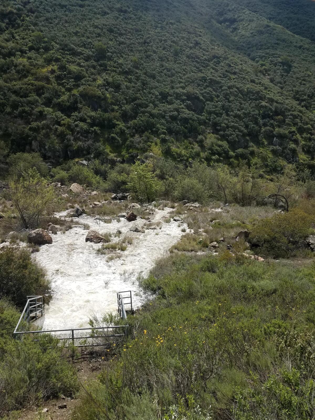 Water released from the Hodges Reservoir into the San Dieguito River bed.