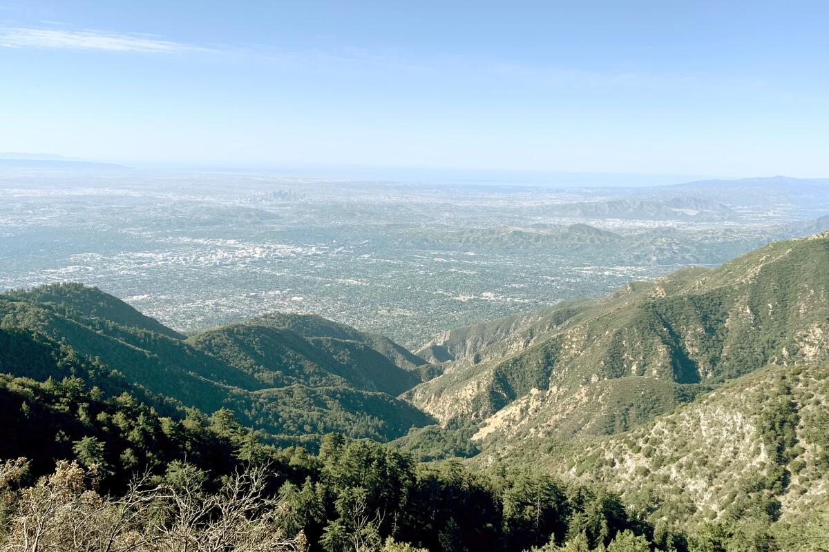 A view from Mt. Wilson