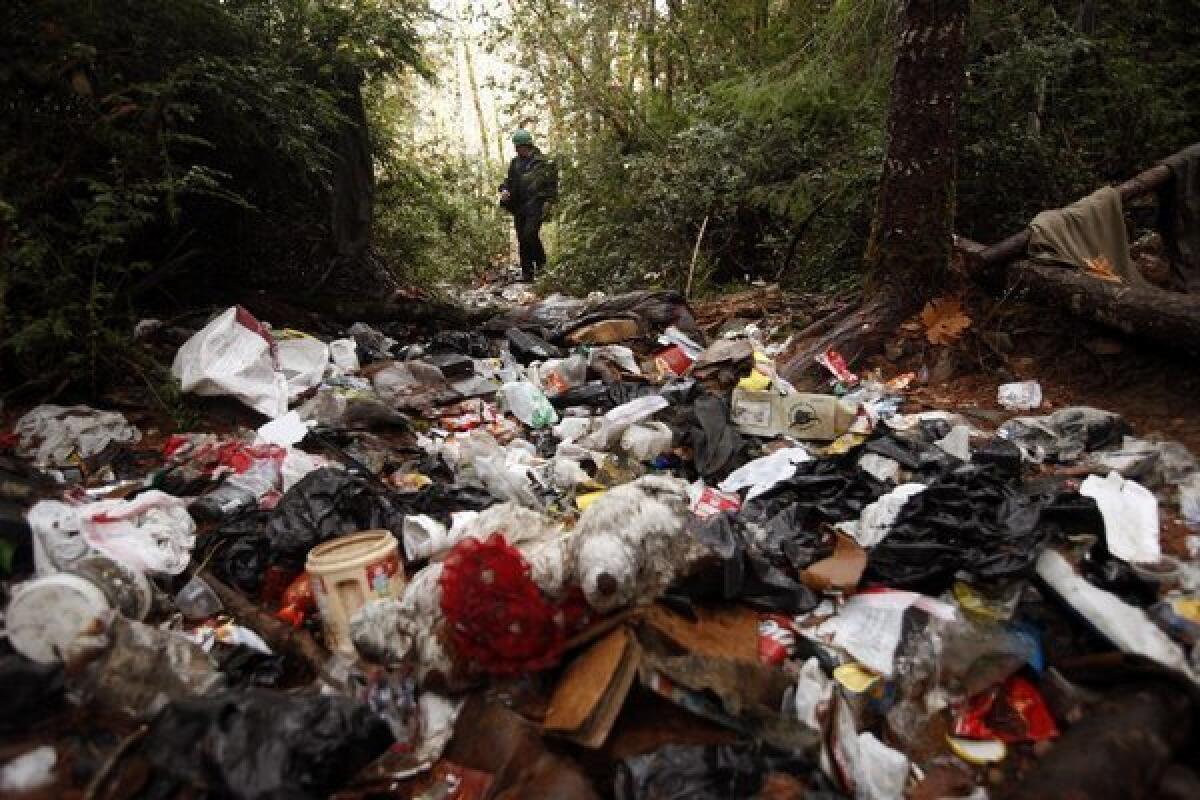 A wildlife technician inspects trash left by marijuana growers on the Hoopa Indian Reservation in Humboldt County on Nov. 15, 2012.