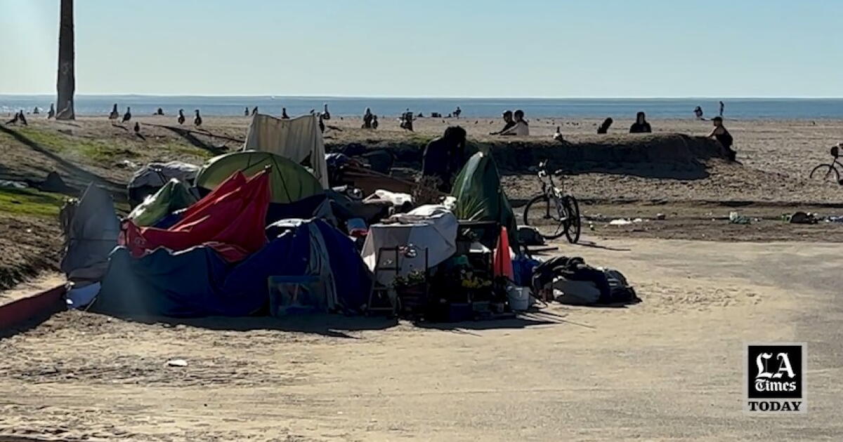 Homeless Computer Scientis LA Times Today: Computer model predicts L.A.'s homeless - Los Angeles Times