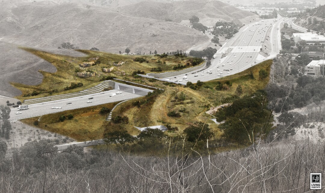 Artist's impression of a planned $ 87 million Mountain Lion Bridge over the 101 Freeway in Agoura Hills.