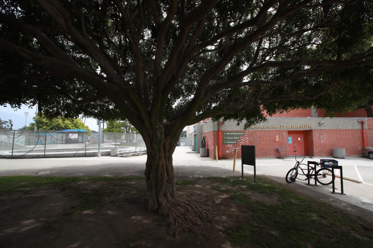 A view of Memorial Park, where childhood sexual abuse allegedly took place.