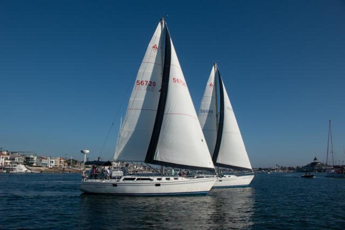 Pictured are the Oasis Sailing Club's two 34-foot Catalina sloops named Oasis V and Oasis VI respectively.
