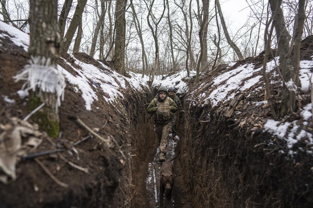 A dog and two soldiers walk in a trench with snow on the ground above 