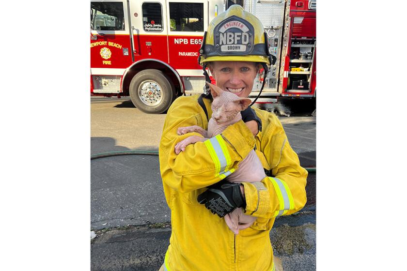 A Newport Beach firefighter carries a cat that rescued from a home that caught fire Friday evening.