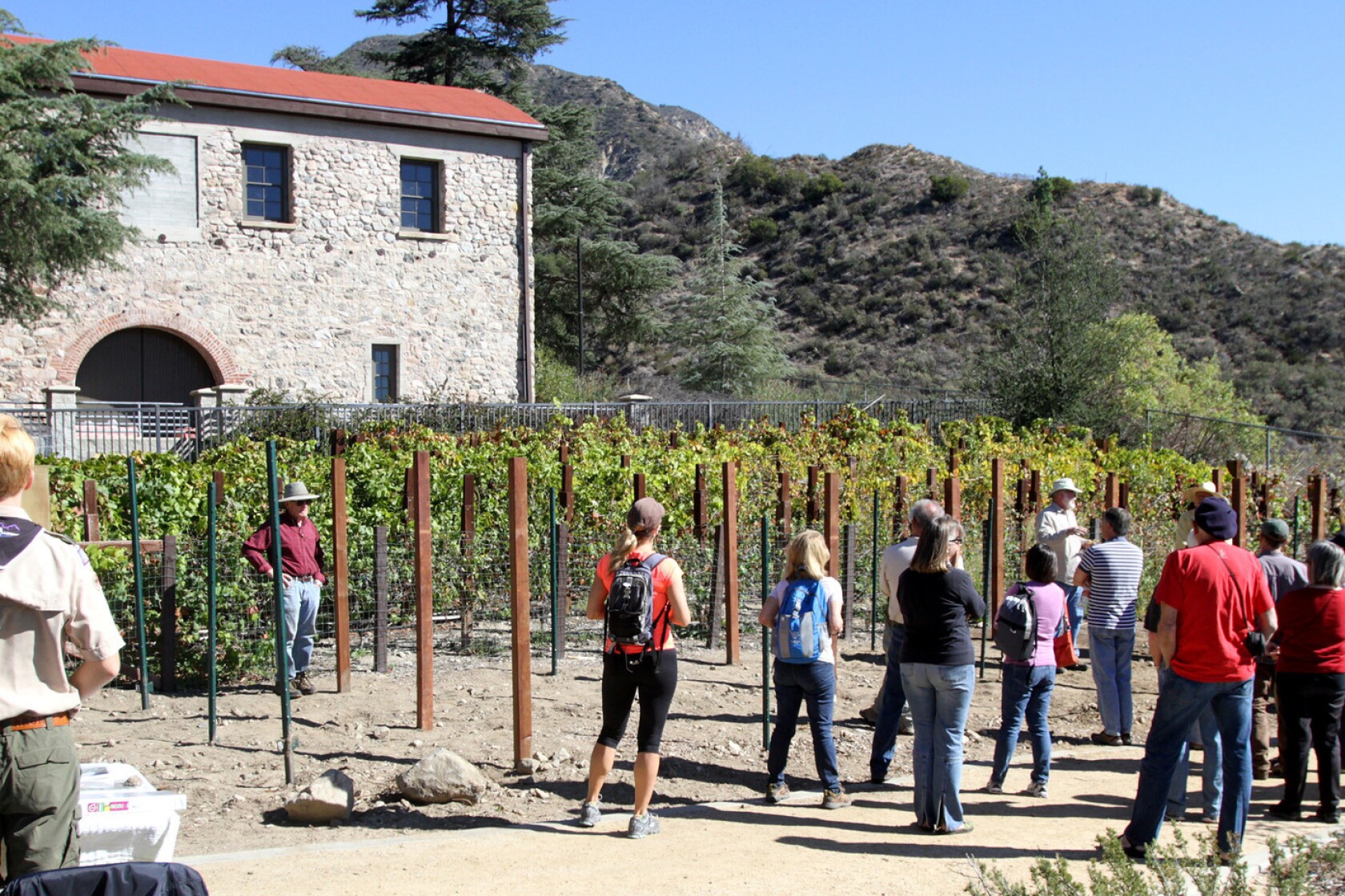 Wine Has Notes Of Historic Flavor At Le Mesnager Barn Los