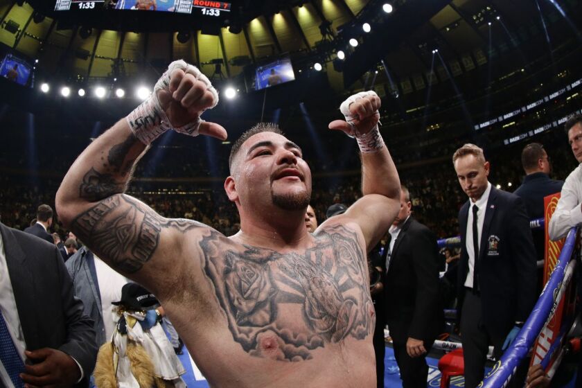 Andy Ruiz celebrates after a heavyweight championship boxing match against British boxer Anthony Joshua Saturday, June 1, 2019, in New York. Ruiz stopped Joshua in the seventh round. (AP Photo/Frank Franklin II)