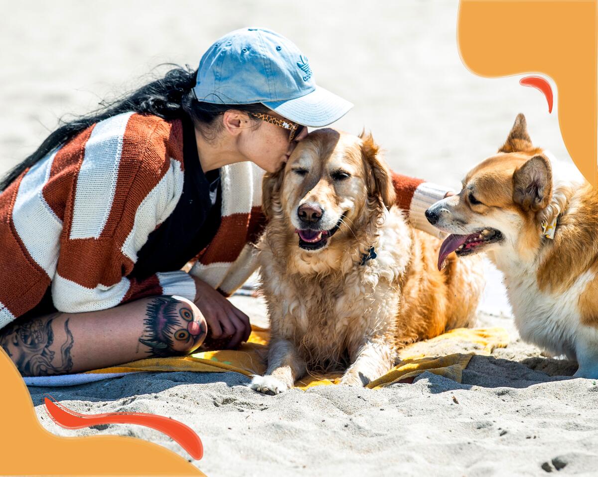 A woman sits on a beach with two dogs, kissing the head of one while petting the other.