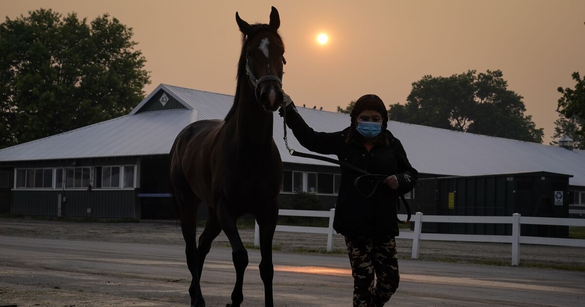 Horse racing paused due to poor air quality two days ahead of Belmont Stakes