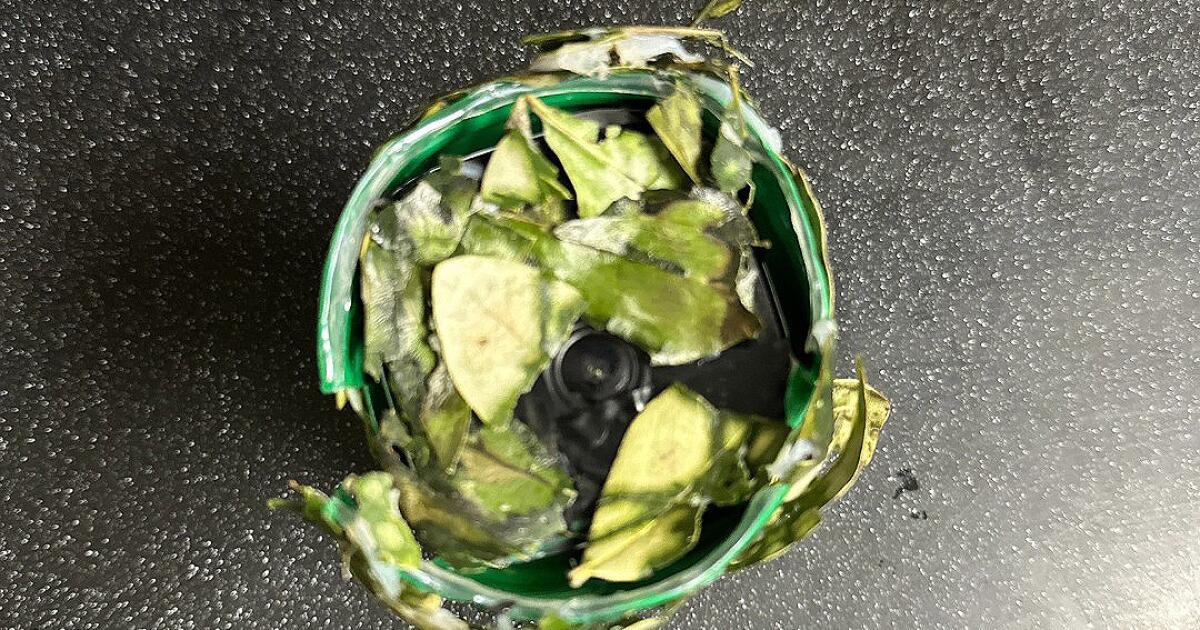 Burglars are hiding cameras in California yards: Protect yourself