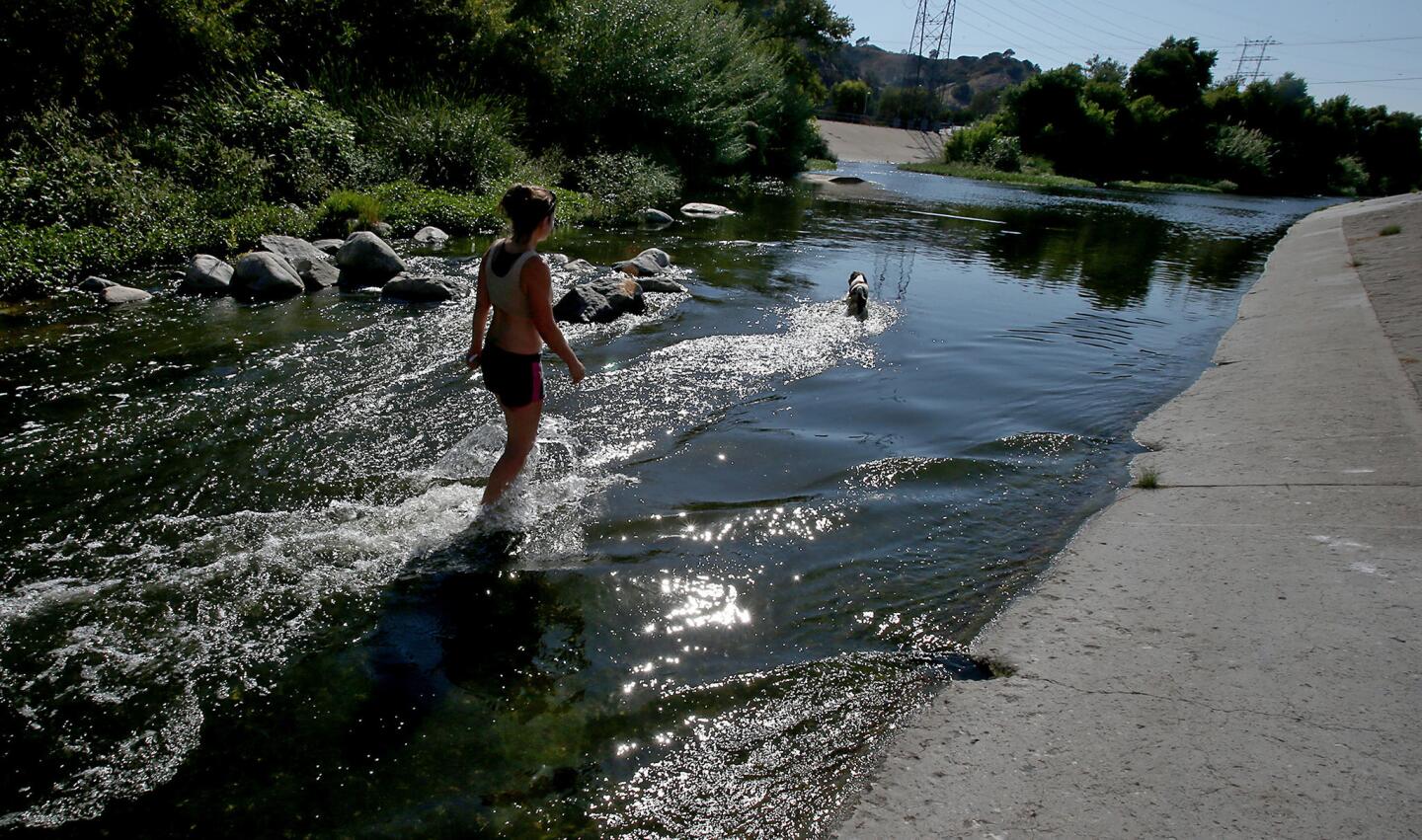 Glendale resident Sarita Vidal and her springer spaniel, Jeni, cool off in the Glendale Narrows area of the Los Angeles River. Renowned architect Frank Gehry is working with Los Angeles officials in the public and private sector to draft a new master plan for the redevelopment of the river.