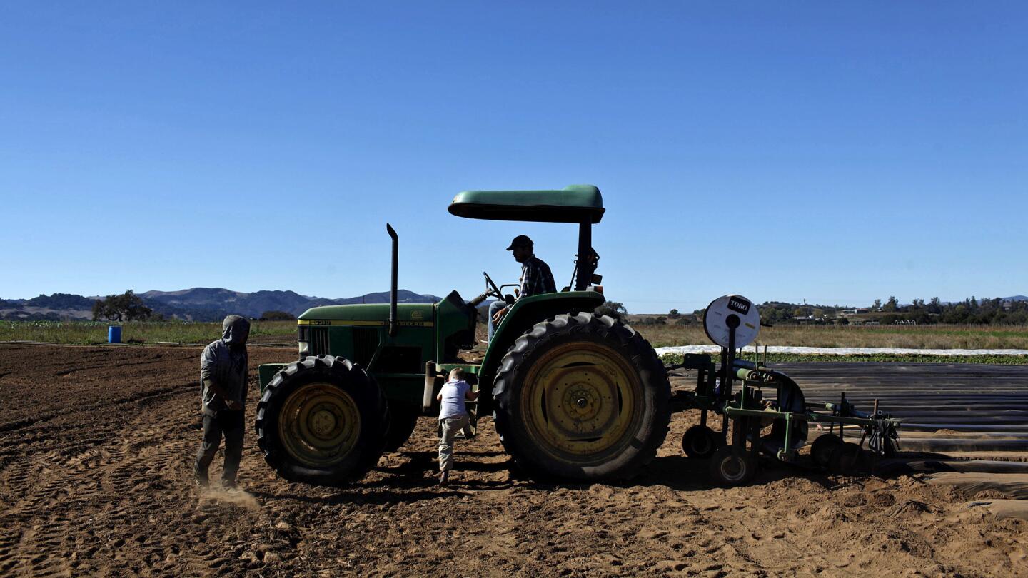 Young organic farmers