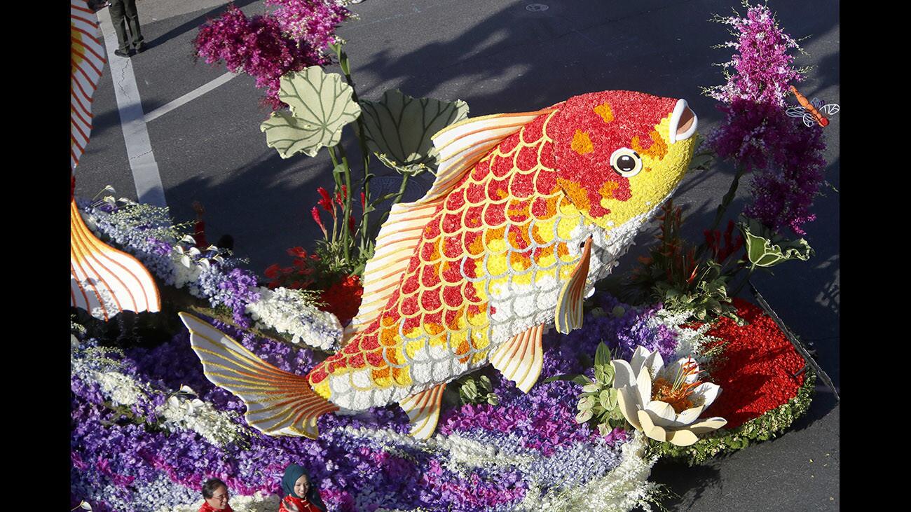 Photo Gallery: Local floats win awards at the 129th annual Tournament of Roses Rose Parade in Pasadena on New Years day