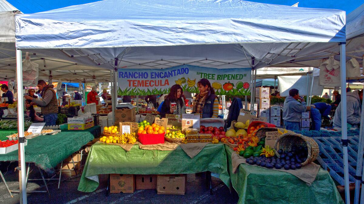 The Larchmont farmers market.