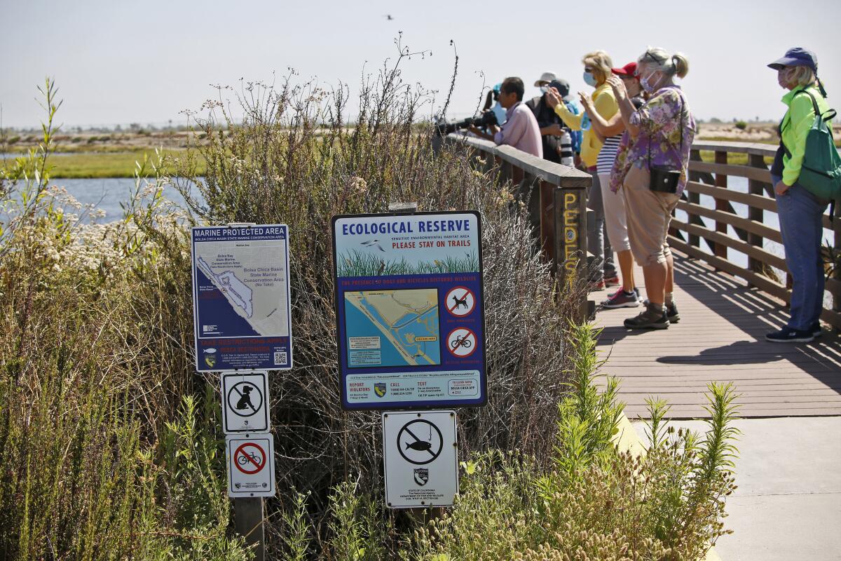 Visitors and photographers enjoy the view from the bridge at Bolsa Chica Ecological Reserve