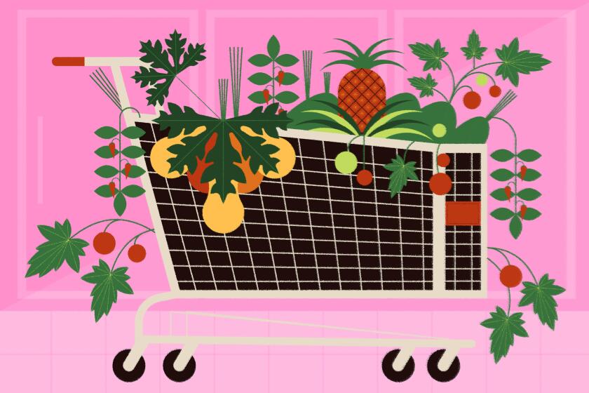 A vegetable garden growing out of a shopping cart in a grocery story.
