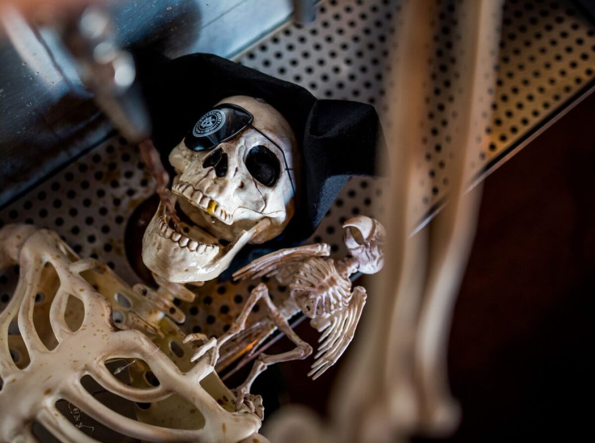 A skeleton drinks from a tap at a Ballast Point tasting room during  a Victory at Sea Day celebration 
