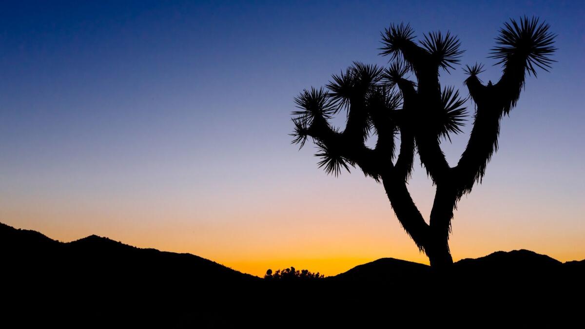 Thanks to the partial shutdown of the federal government, campers with reservations at many national parks shouldn't count on getting their campsite, online booking site Recreation.gov is telling travelers.