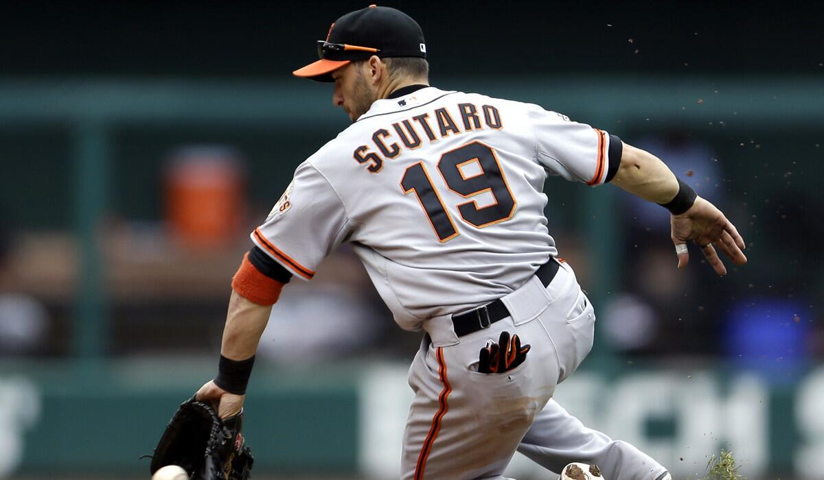 San Francisco Giants second baseman Marco Scutaro stops a grounder hit by St. Louis Cardinals' Matt Adams during a game on June 2, 2013. The Giants have re-signed second baseman Scutaro to a major league contract that pays him $6 million this year even though he may never play baseball again following back surgery.