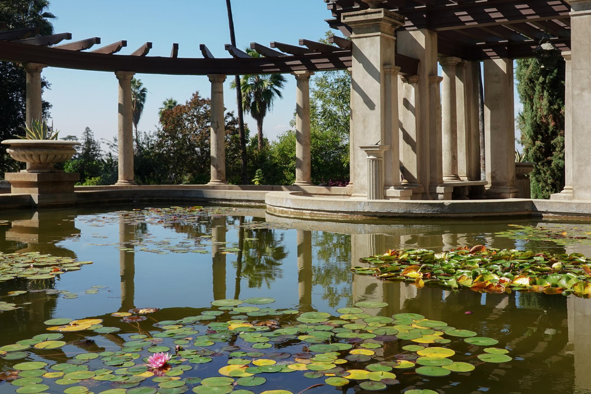 a pond with lily pads surrounded by pergola 