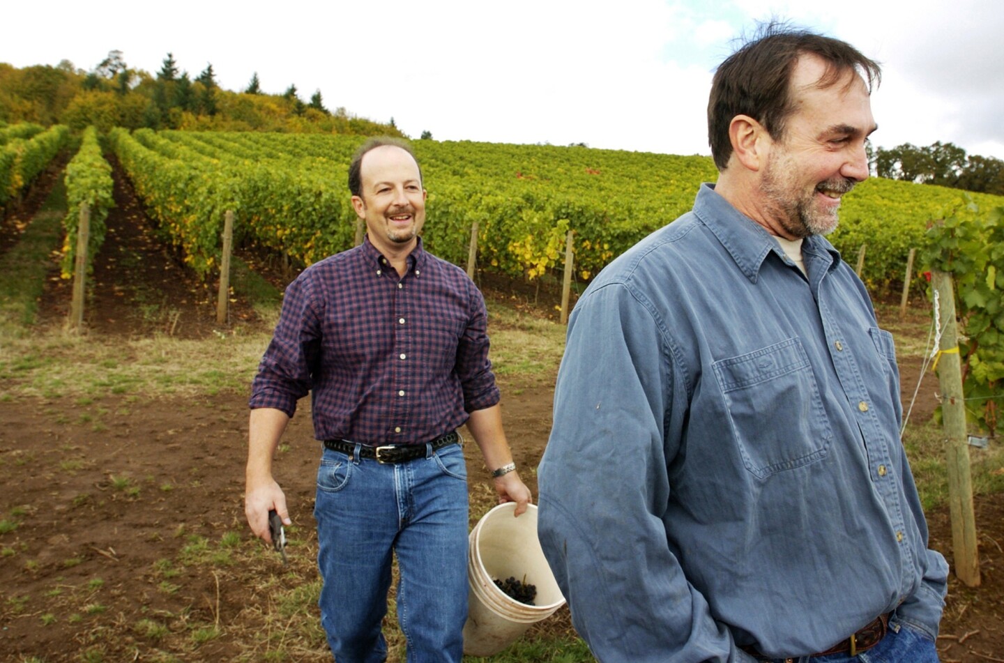 Oregon produced 6.8 million gallons of wine last year. Above, a 2005 file photo of Cristom Vineyards in Salem, Ore.