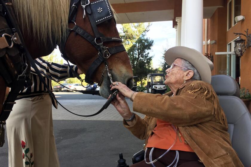 Opal Hagerty, 95, of Escondido meets Blossom, a 16-year-old Belgian draft horse, before a carriage ride on Friday in Temecula.