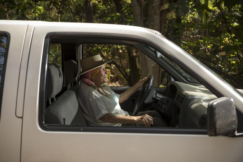  A portrait of Diana Kennedy sitting at the wheel of her 17-year-old Nissan stick shift pick up truck