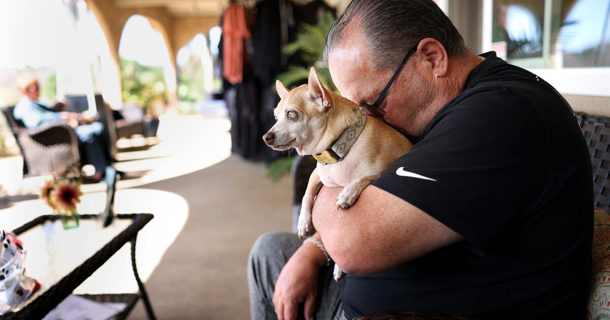 Arellano: The joy and heartbreak of adopting a senior dog