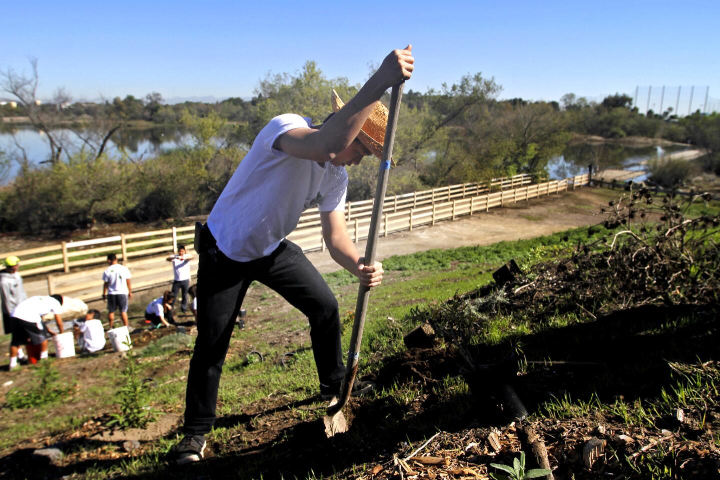 Blake Byrnes, 18, of Buena Park is among the volunteers from local schools and the nonprofit International Environmental Service Club who are planting native black sage, purple sage and coyote brush in hopes of attracting endangered species to Ken Malloy Harbor Regional Park.