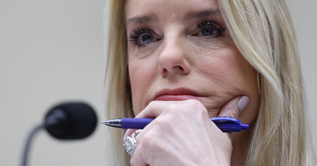 Bundy reivindica vitória na luta contra a proibição da máscara ICE; O tribunal decidiu em vários casos