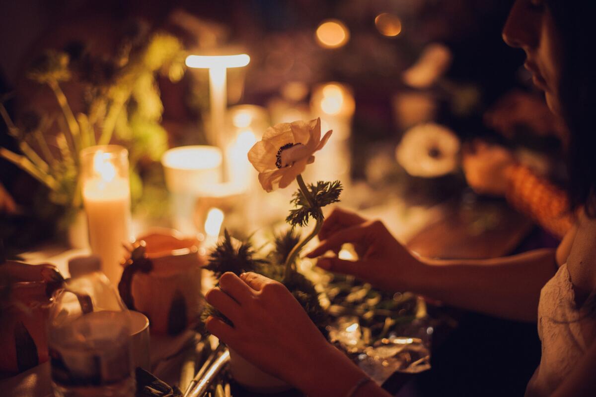 A poppy glows in candlelight at the Flower Hour event.