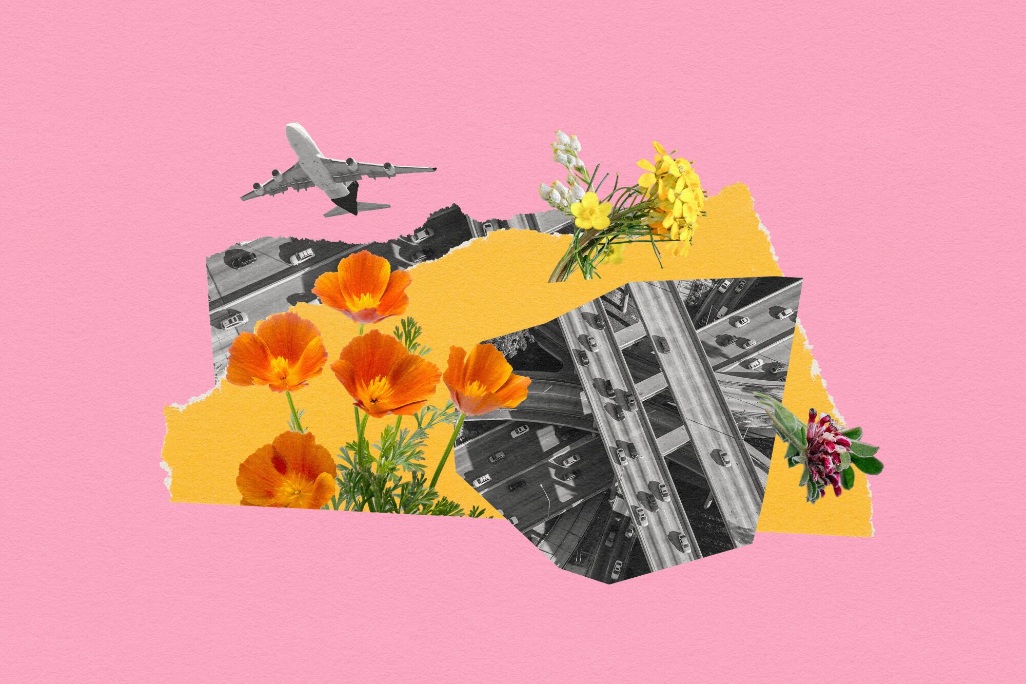 Los Angeles Times illustration of flowers and freeways.