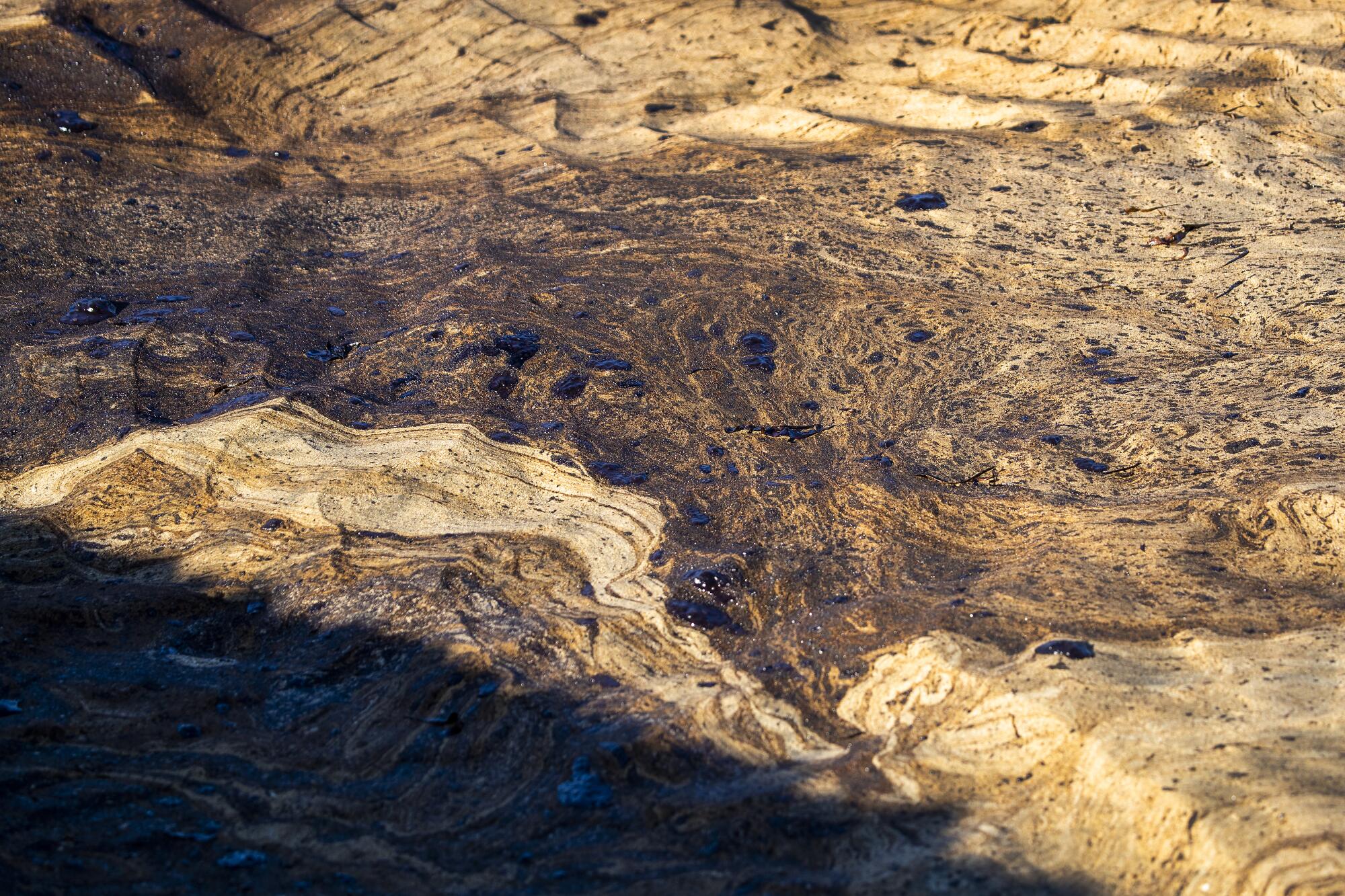  Detail of globs of oil that formed patterns as it flowed in from the high tide.