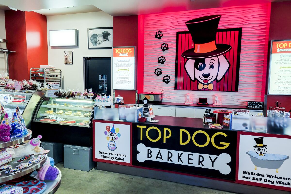 The dog-themed counter at the Top Dog Barkery