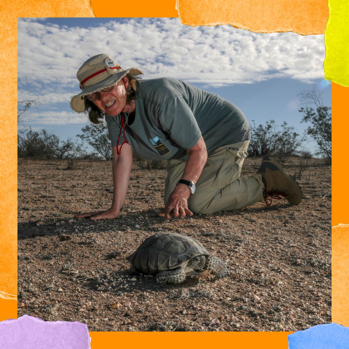 A woman wearing a bucket hat kneels on the ground next to a large tortoise.