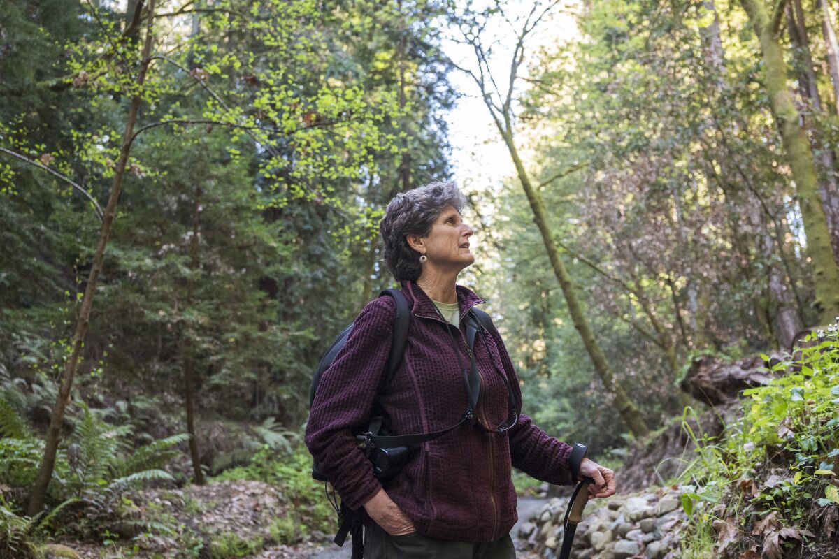 Angelica Glass hikes along Hinckley Basin Road in Santa Cruz County. 
