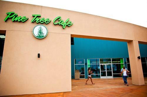 7. Pine Tree Café