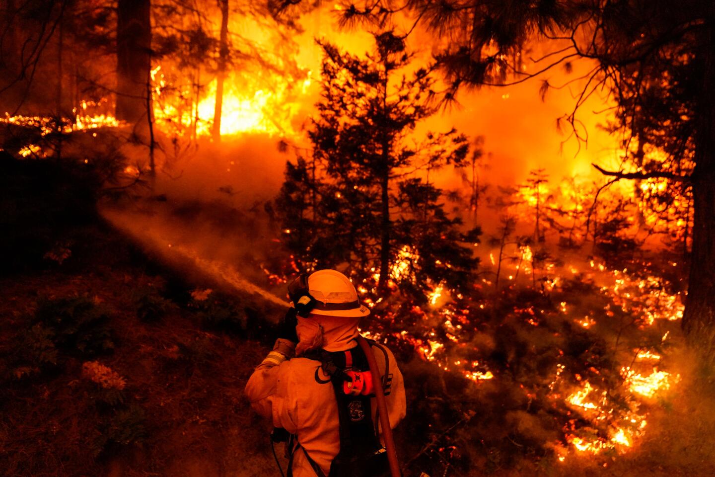A firefighter conducts a back-burn operation near Shaver Lake Marina.