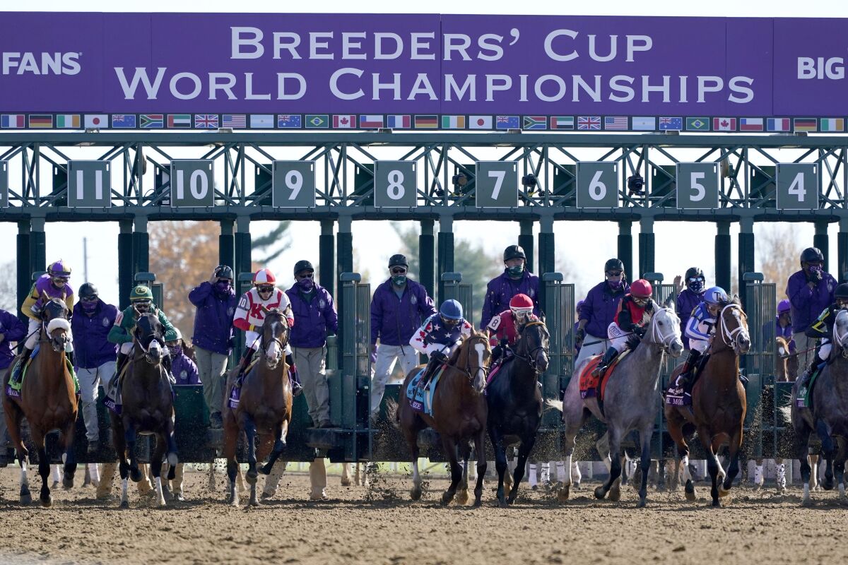 Horses break from the start of the Breeders' Cup Dirt Mile race at Keeneland Race Course in Lexington, Ky., on Nov. 7, 2020.