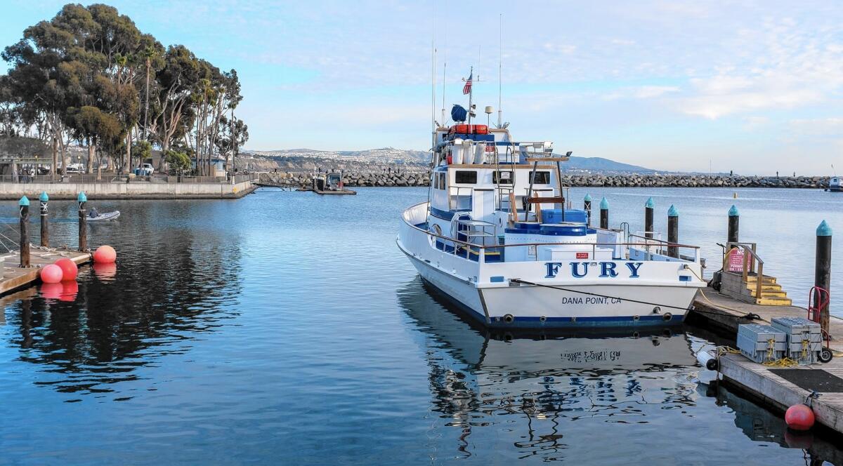 Perhaps "Fury" is a good metaphor for the Dana Point boaters and merchants who have weathered nearly 20 years of planning battles over the harbor revitalization, which has struggled to break ground.