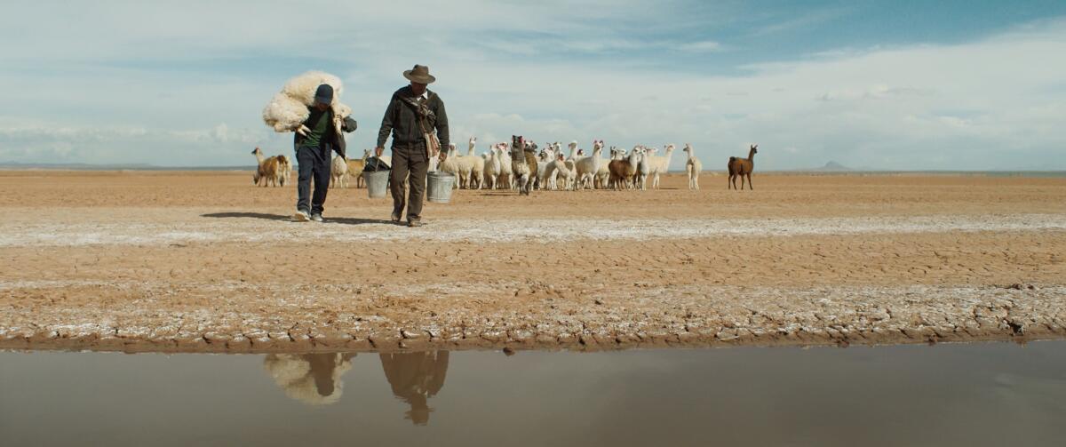 "Utama", una historia de amor quechua contra la crisis climática en Sundance