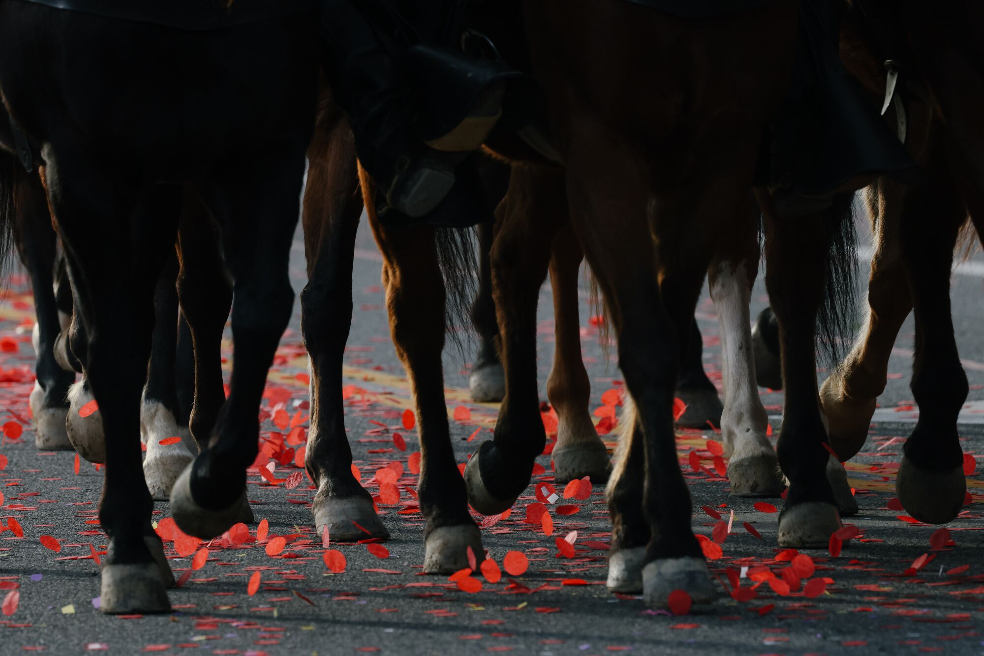 A close-up of horse hooves walking over confetti.